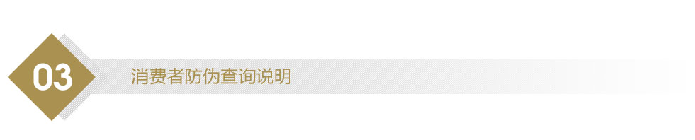 �����߷�α��ѯ˵��